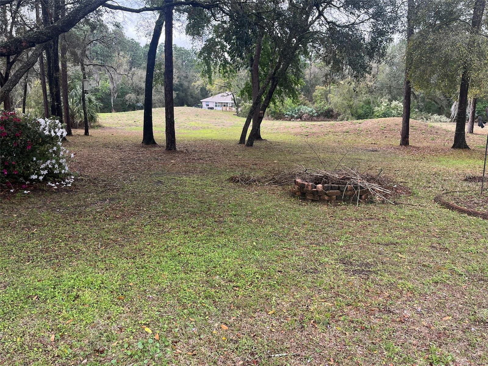 316 W WASON ST, CITRUS SPRINGS, FL, 34434