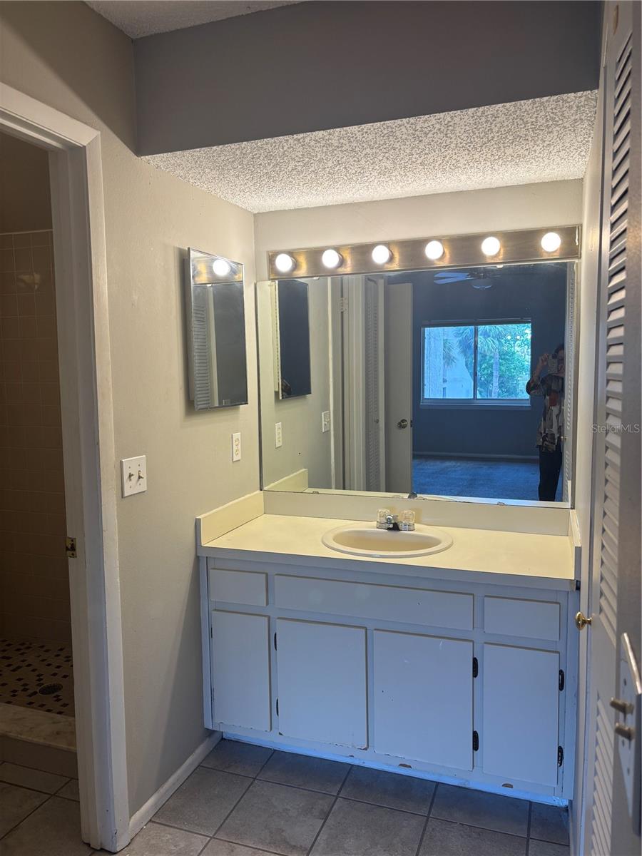 2524 LAKEWAY BRANCH DR #3208, ORLANDO, FL, 32839