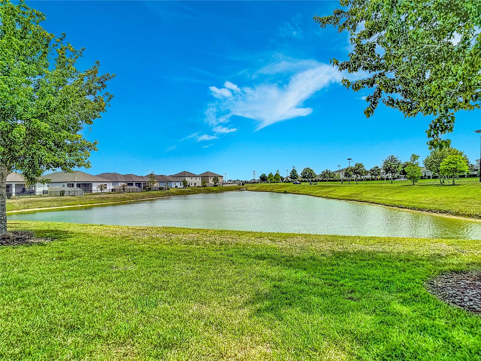 30980 JAZZ LEAF PL, SAN ANTONIO, FL, 33576