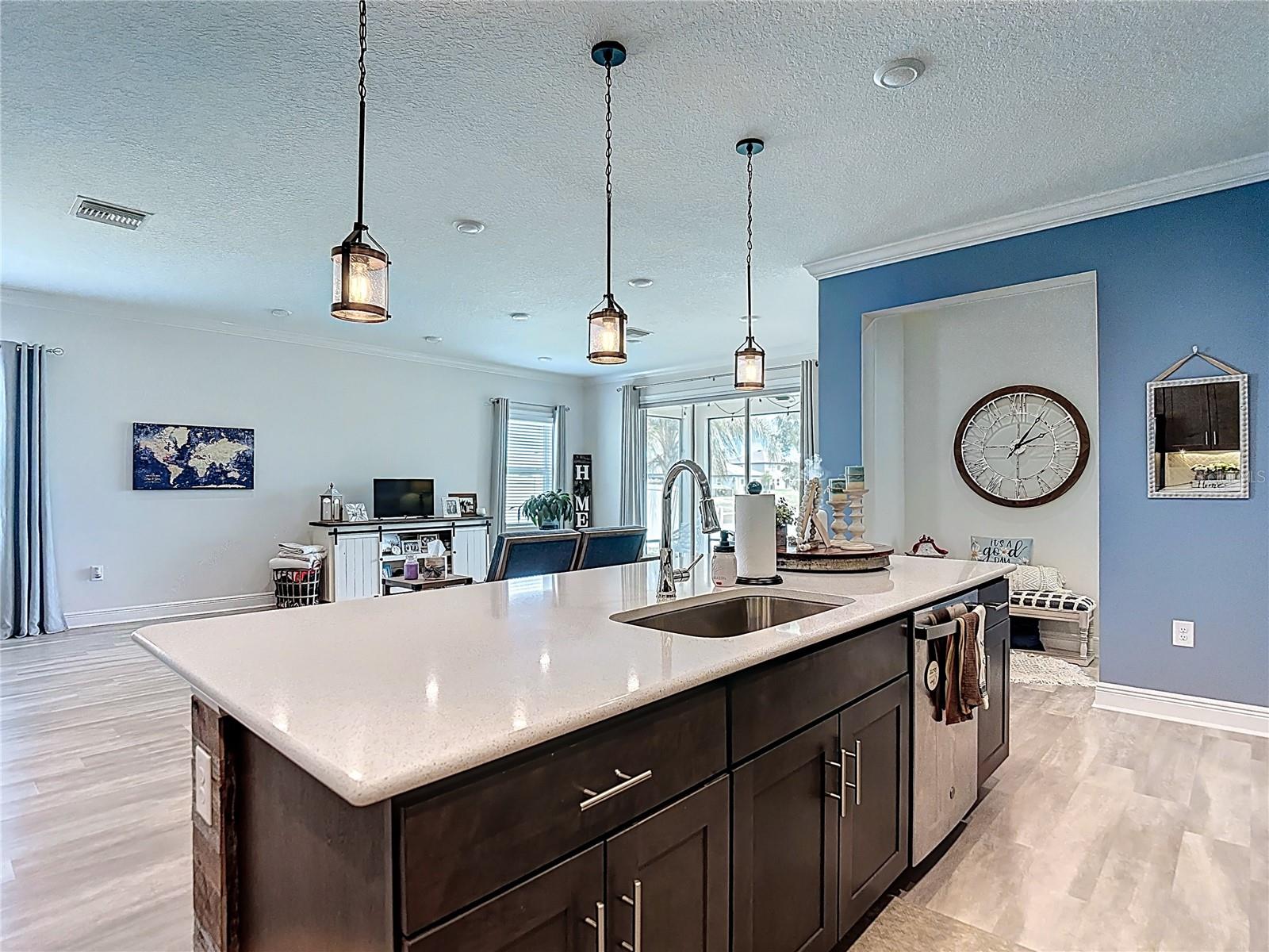 30980 JAZZ LEAF PL, SAN ANTONIO, FL, 33576