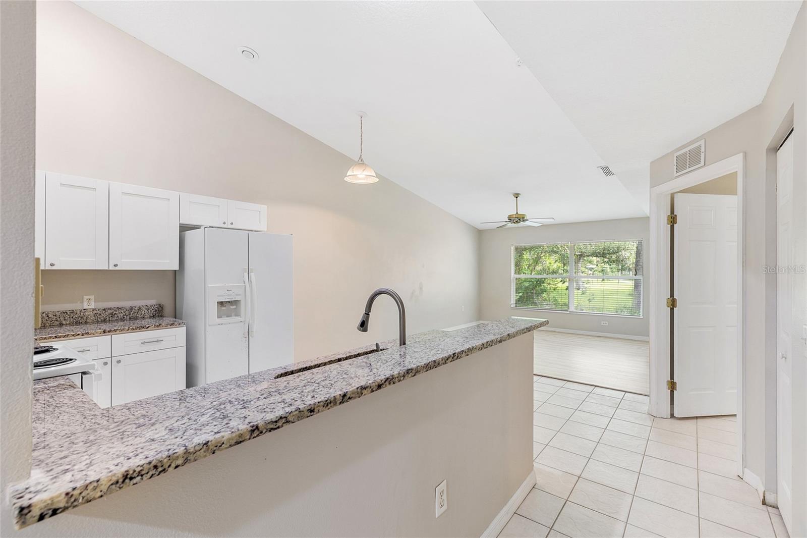 37227 GRASSY HILL LN, DADE CITY, FL, 33525