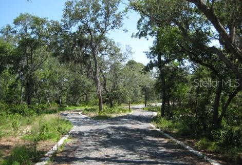 SR 370, ALLIGATOR POINT, FL, 32346