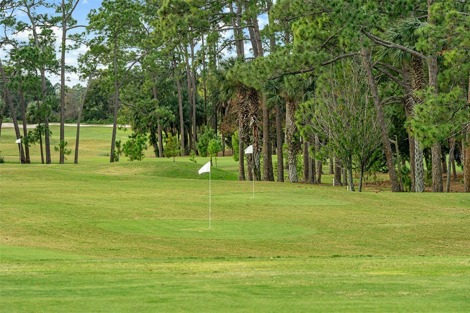 641 WOODBRIDGE DR, ORMOND BEACH, FL, 32174