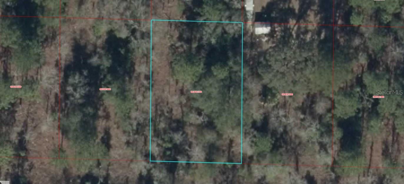 0930201700 NE 16TH LN, WILLISTON, FL, 32696