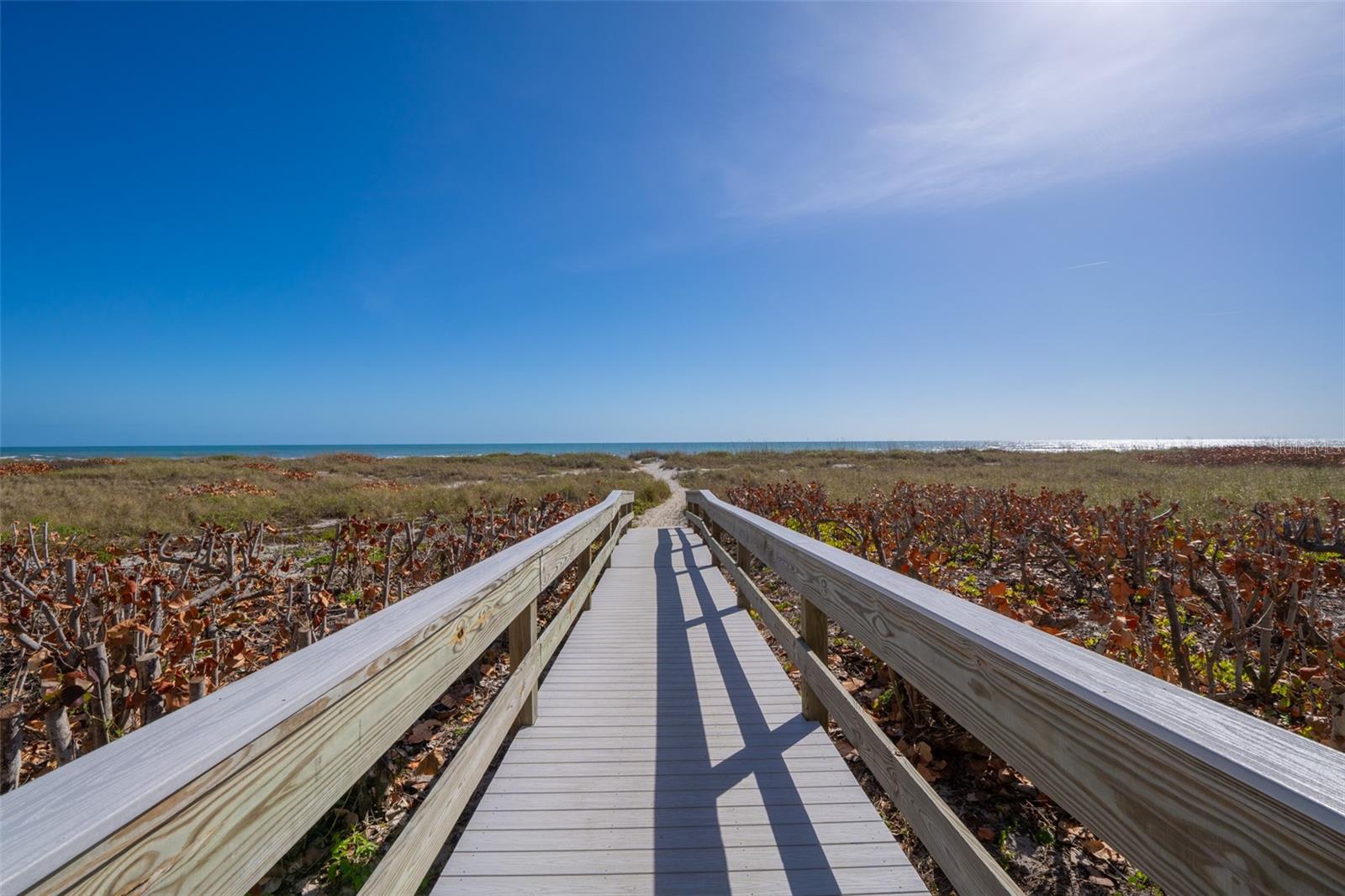 750 N ATLANTIC AVE #509, COCOA BEACH, FL, 32931