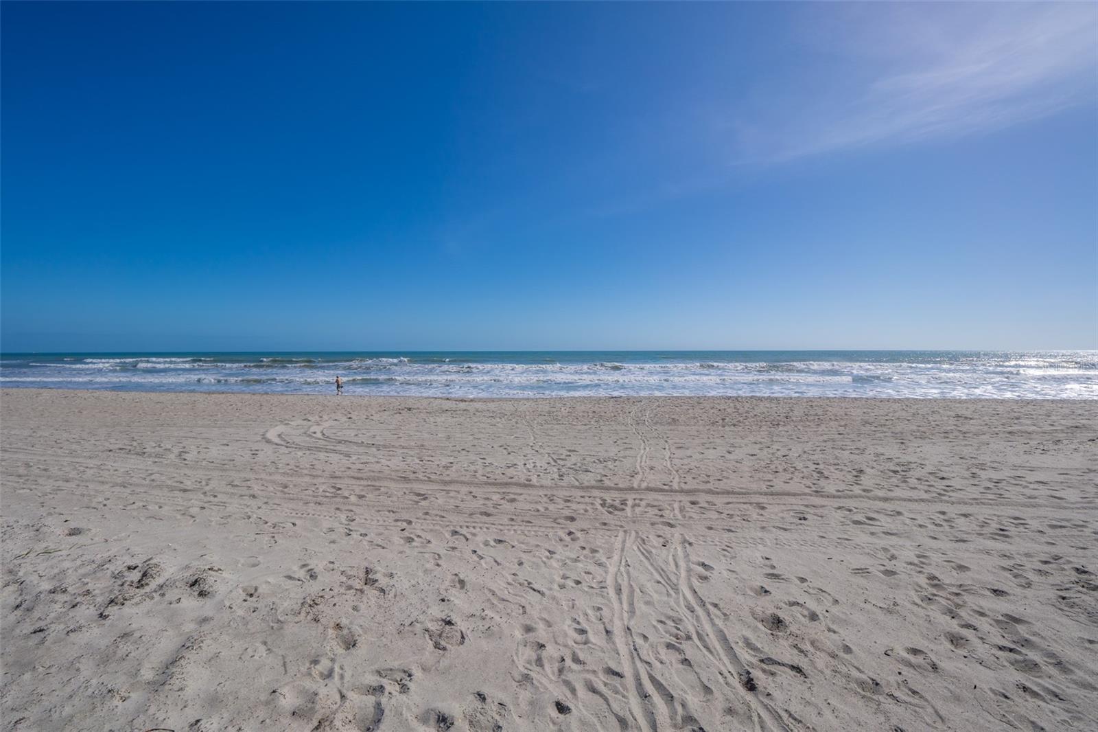 750 N ATLANTIC AVE #509, COCOA BEACH, FL, 32931