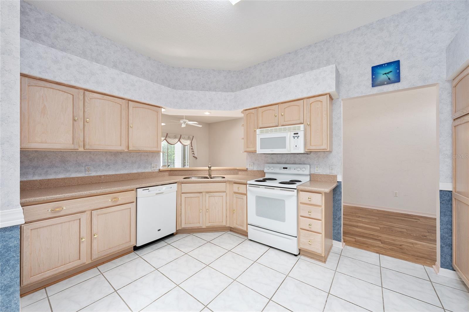 170 PALERMO PL, THE VILLAGES, FL, 32159