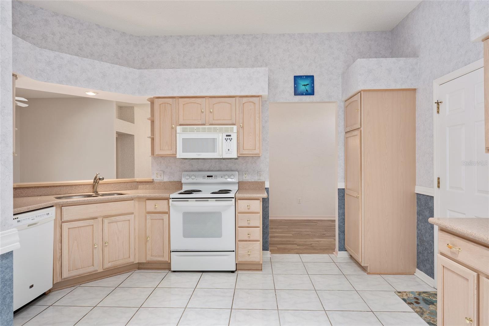 170 PALERMO PL, THE VILLAGES, FL, 32159