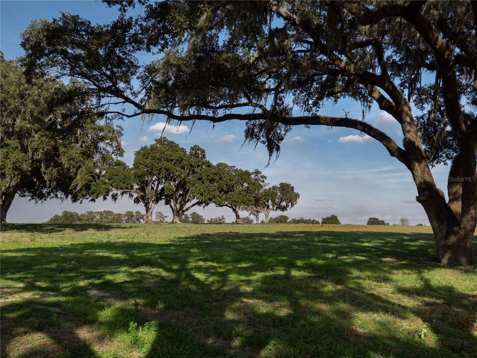 TBD NW GAINESVILLE RD, REDDICK, FL, 32686