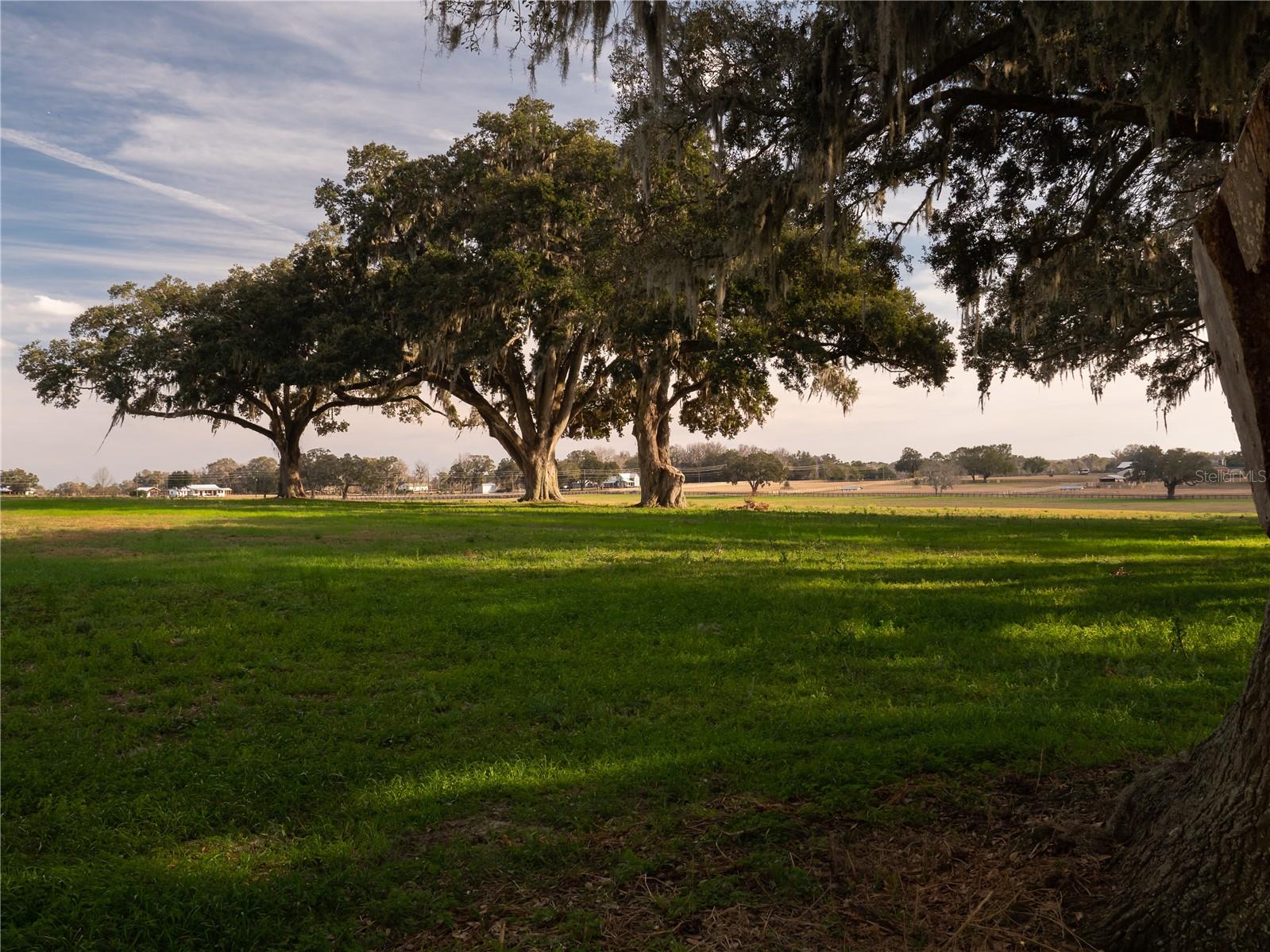 TBD NW GAINESVILLE RD, REDDICK, FL, 32686