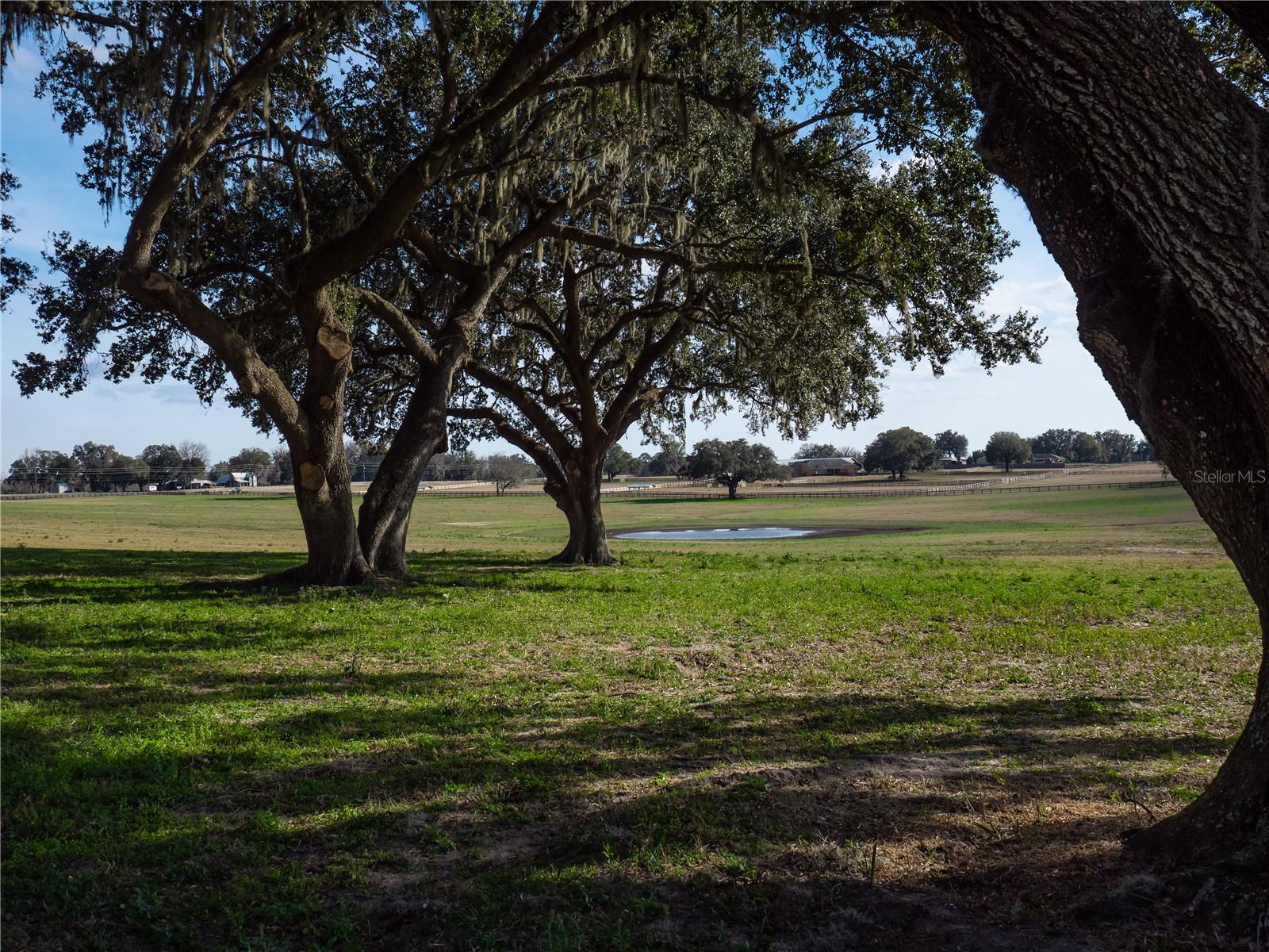 TBD NW GAINESVILLE RD, REDDICK, FL, 32686