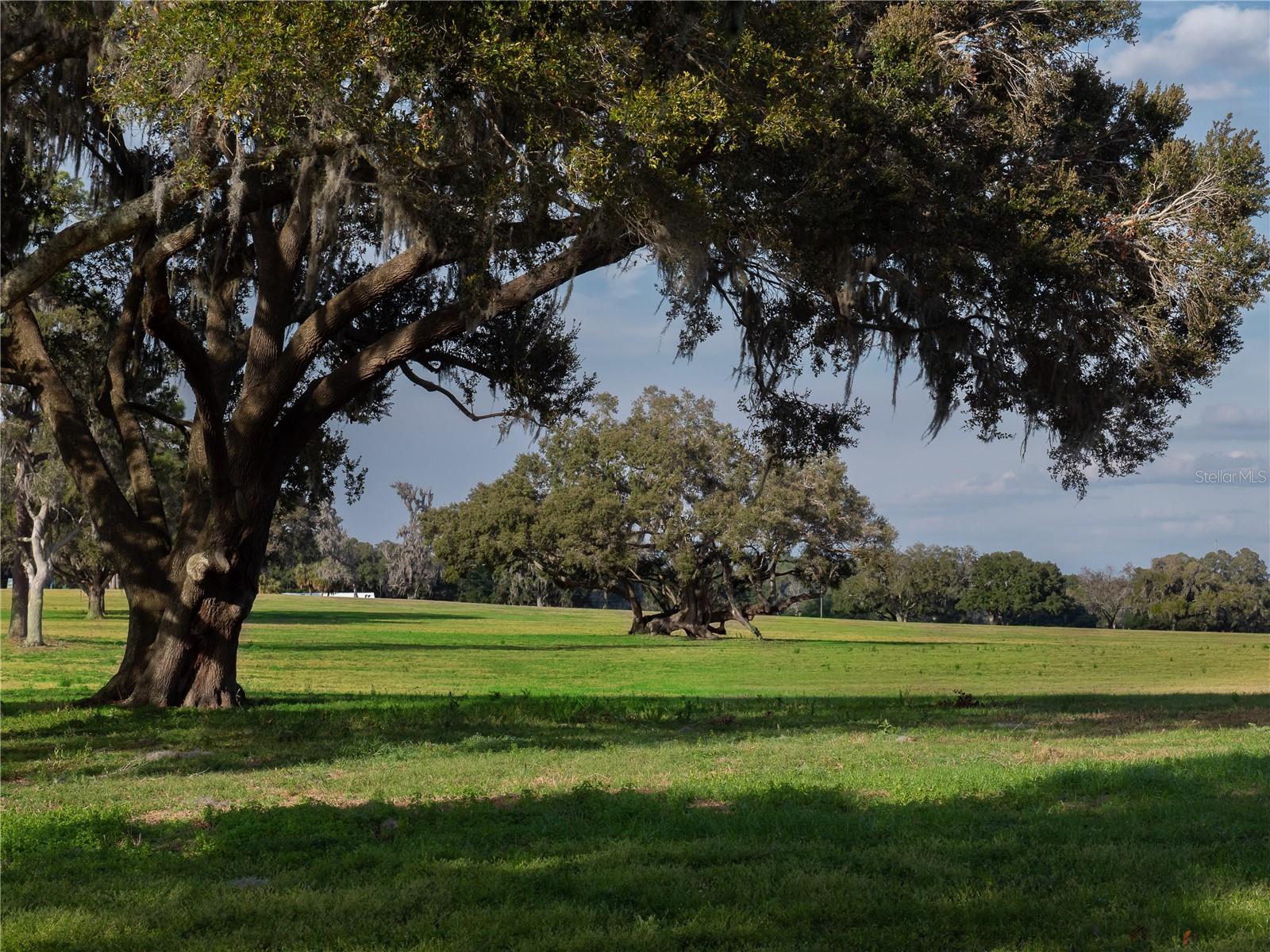 TBD NW GAINESVILLE RD, REDDICK, FL, 32686