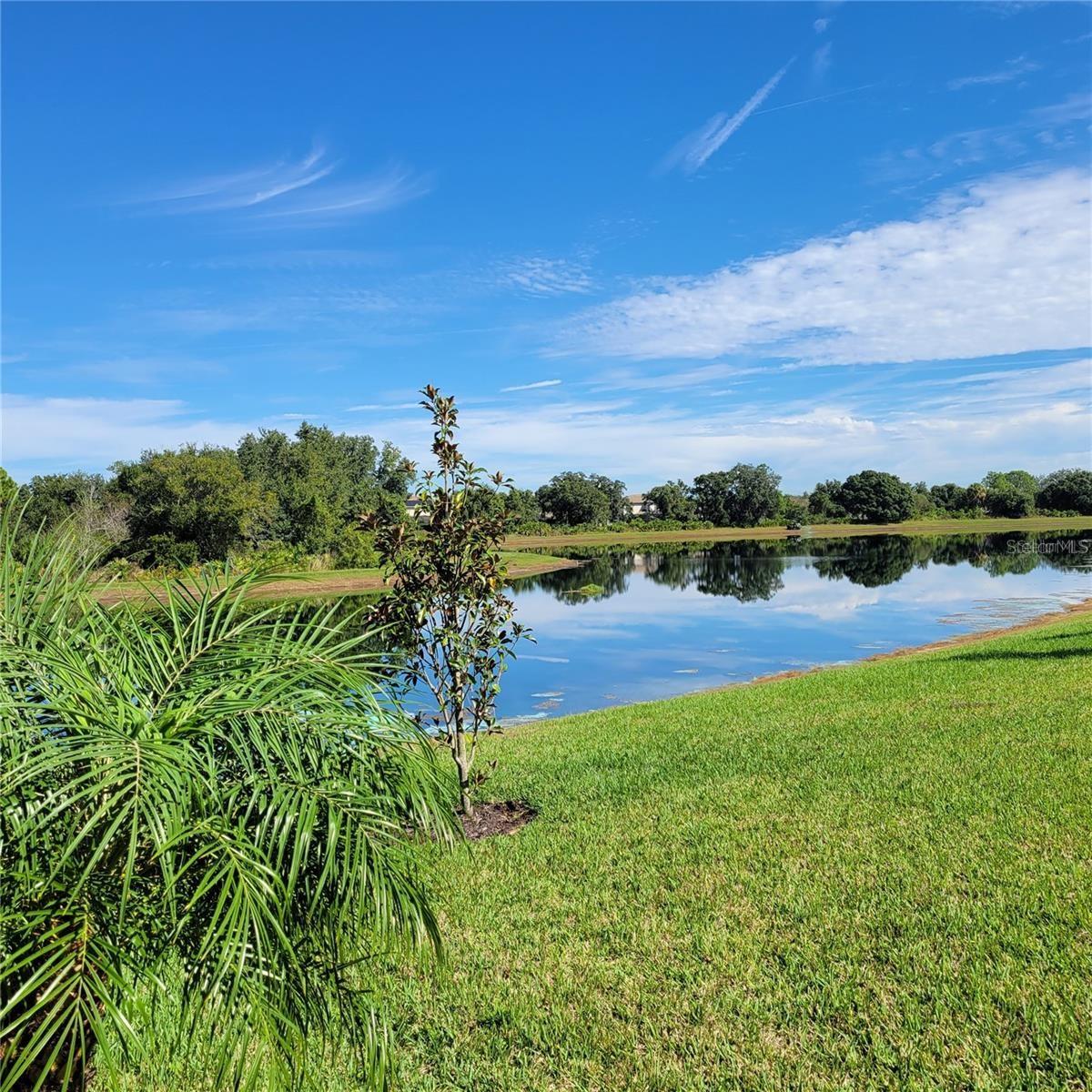 17335 BLUE RIDGE PL, BRADENTON, FL, 34211