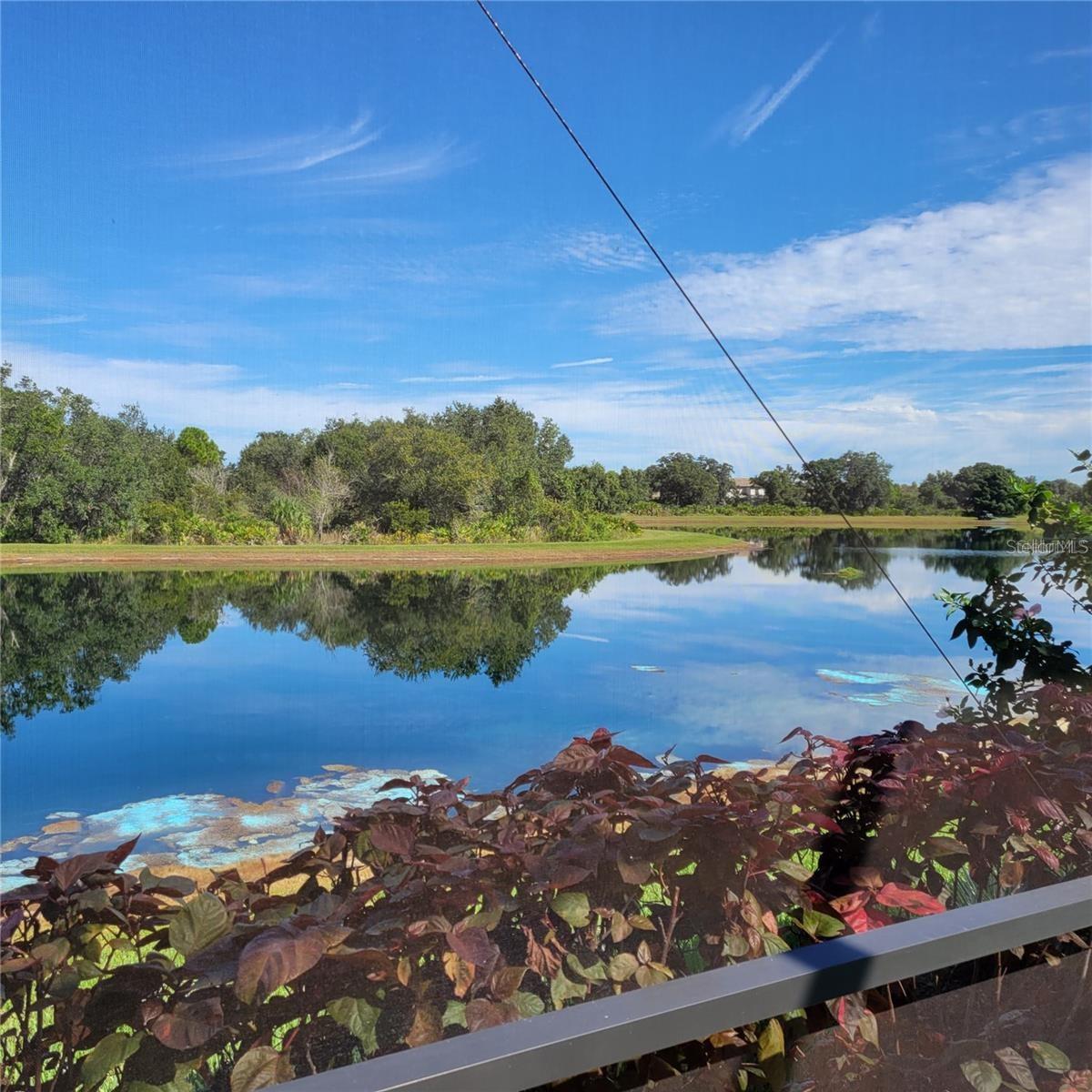 17335 BLUE RIDGE PL, BRADENTON, FL, 34211