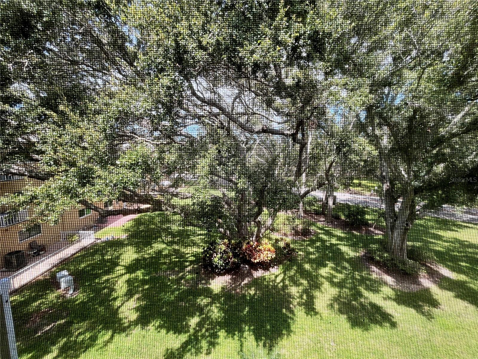 2220 SPANISH DR #54, CLEARWATER, FL, 33763