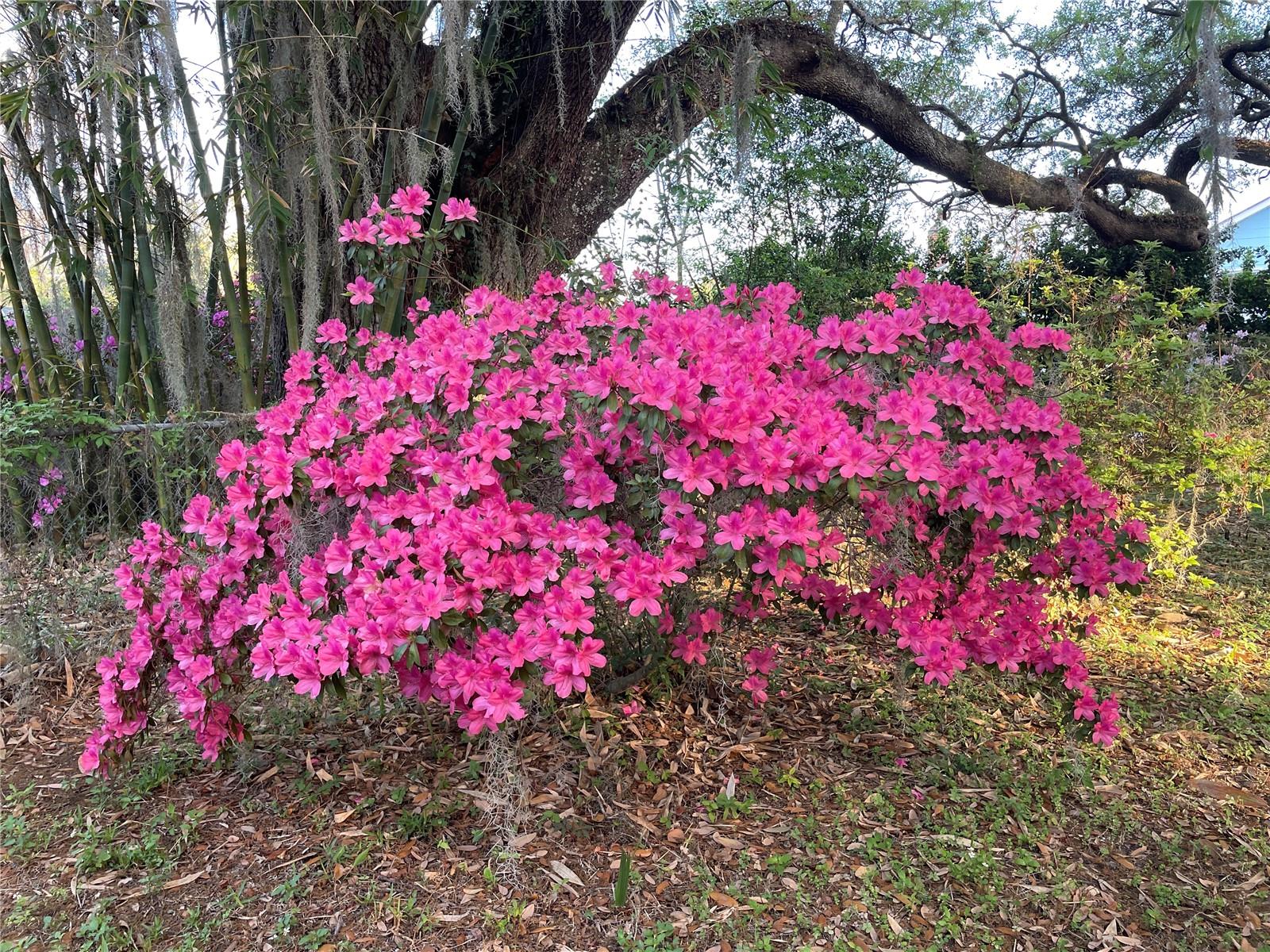 825 SE 13TH ST, OCALA, FL, 34471