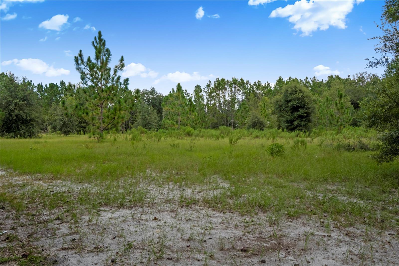 3749 V SW 22ND PL, BELL, FL, 32619