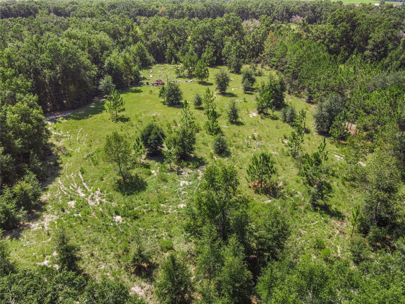 3749 V SW 22ND PL, BELL, FL, 32619