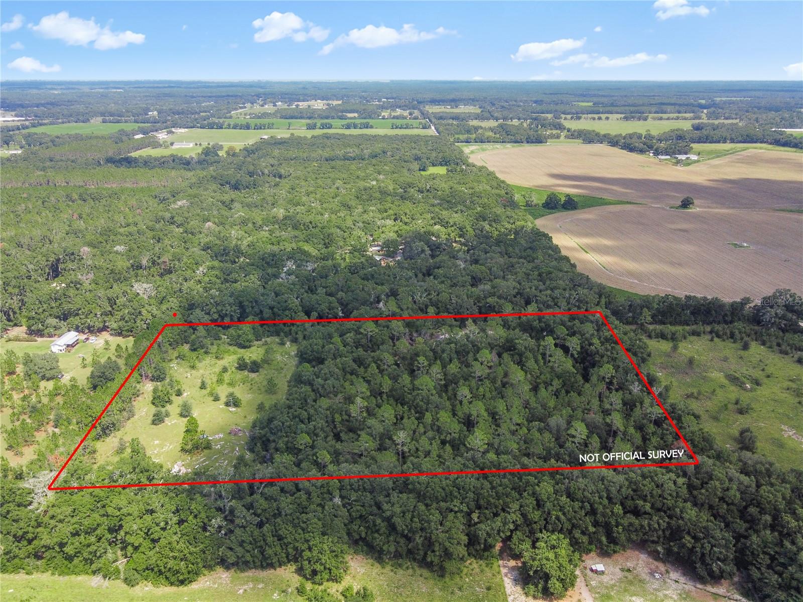 3749 V SW 22ND PL, BELL, FL, 32619