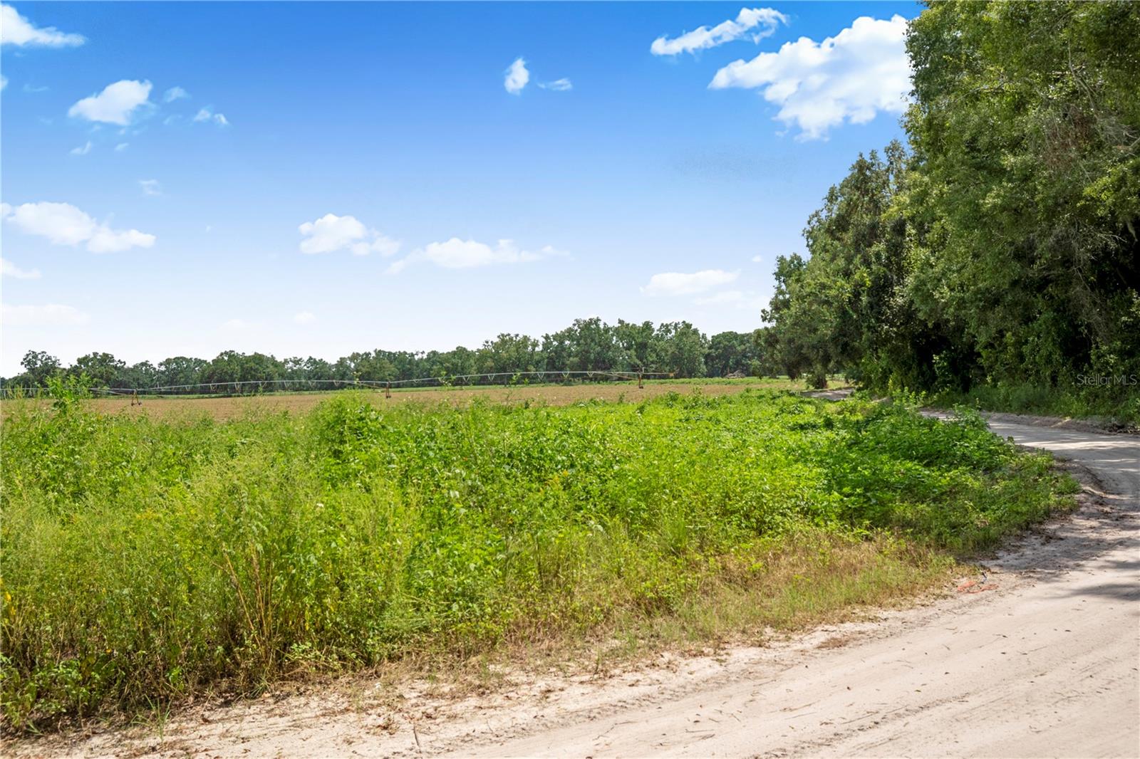 3749 V SW 22ND PL, BELL, FL, 32619