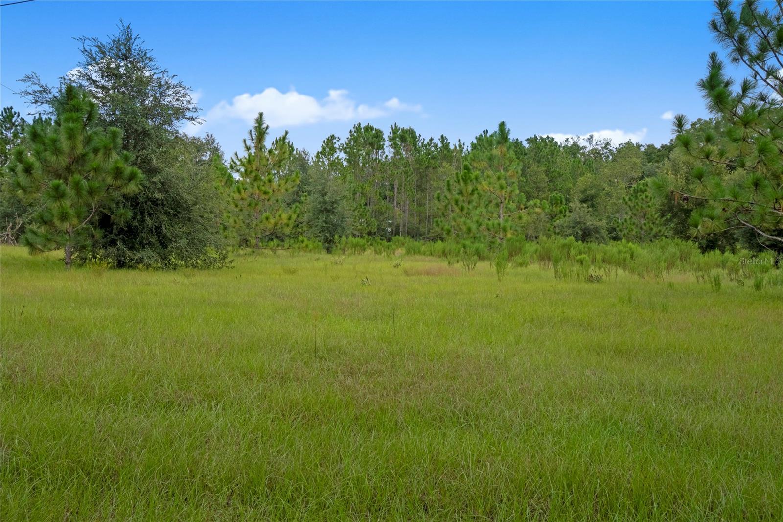 3749 V SW 22ND PL, BELL, FL, 32619