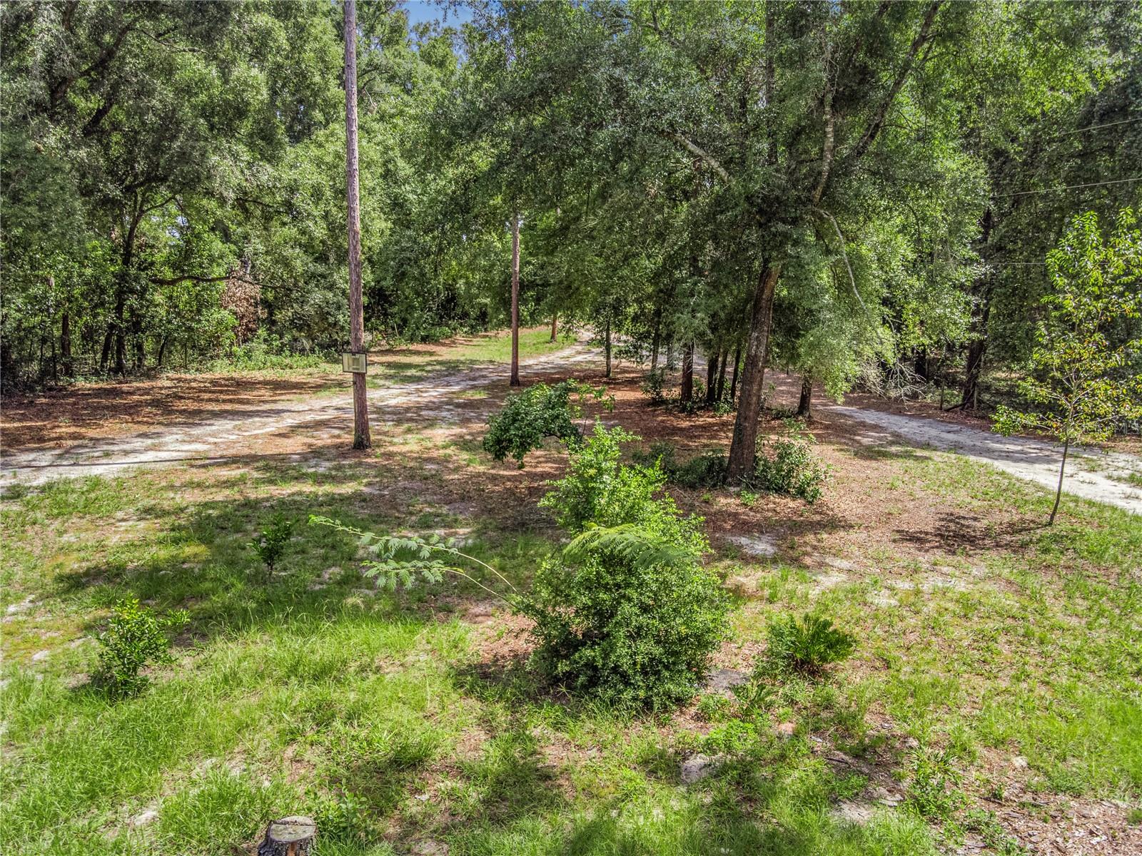 3749 V SW 22ND PL, BELL, FL, 32619