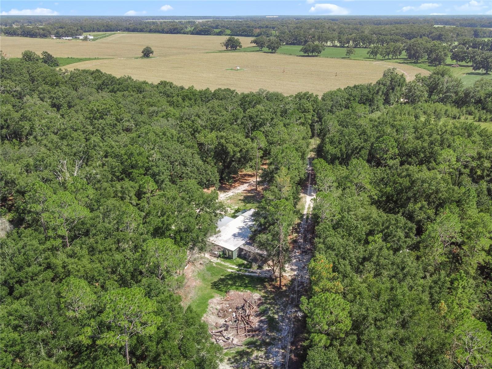 3749 V SW 22ND PL, BELL, FL, 32619