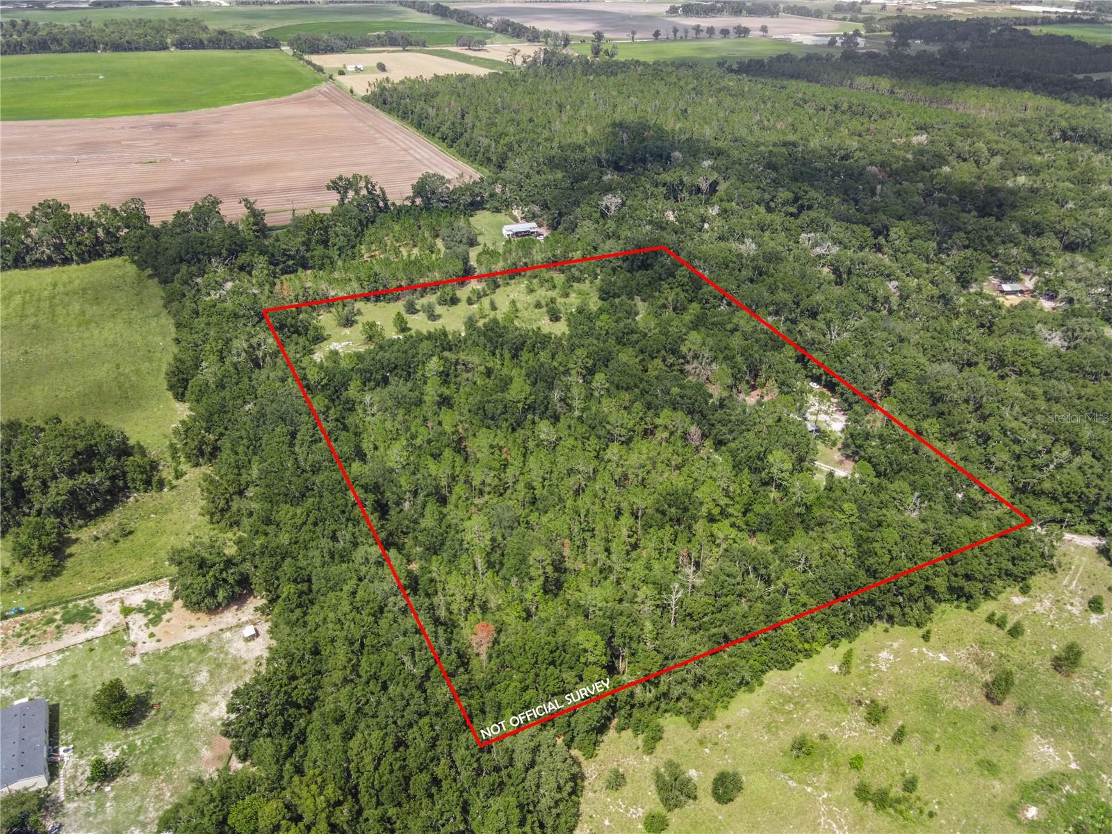 3749 V SW 22ND PL, BELL, FL, 32619