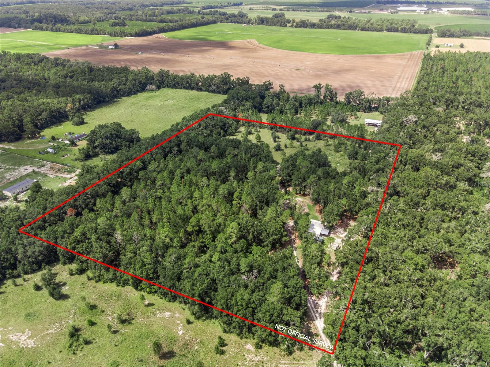 3749 V SW 22ND PL, BELL, FL, 32619