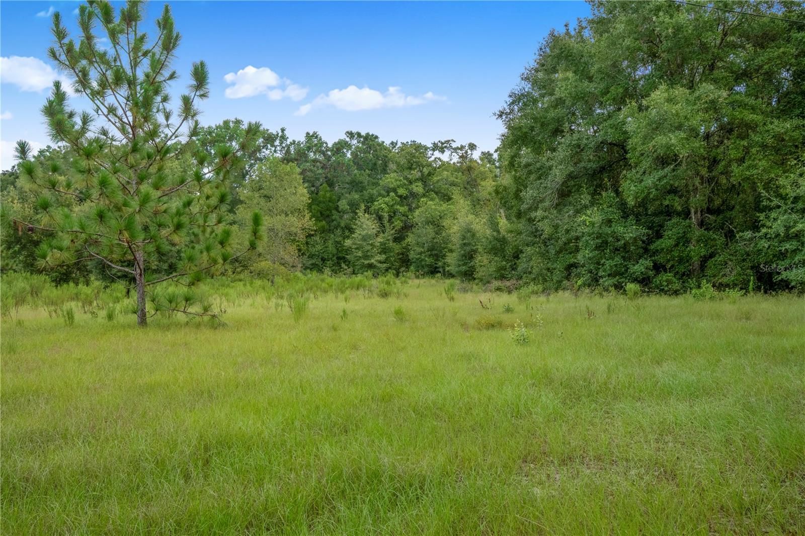 3749 V SW 22ND PL, BELL, FL, 32619