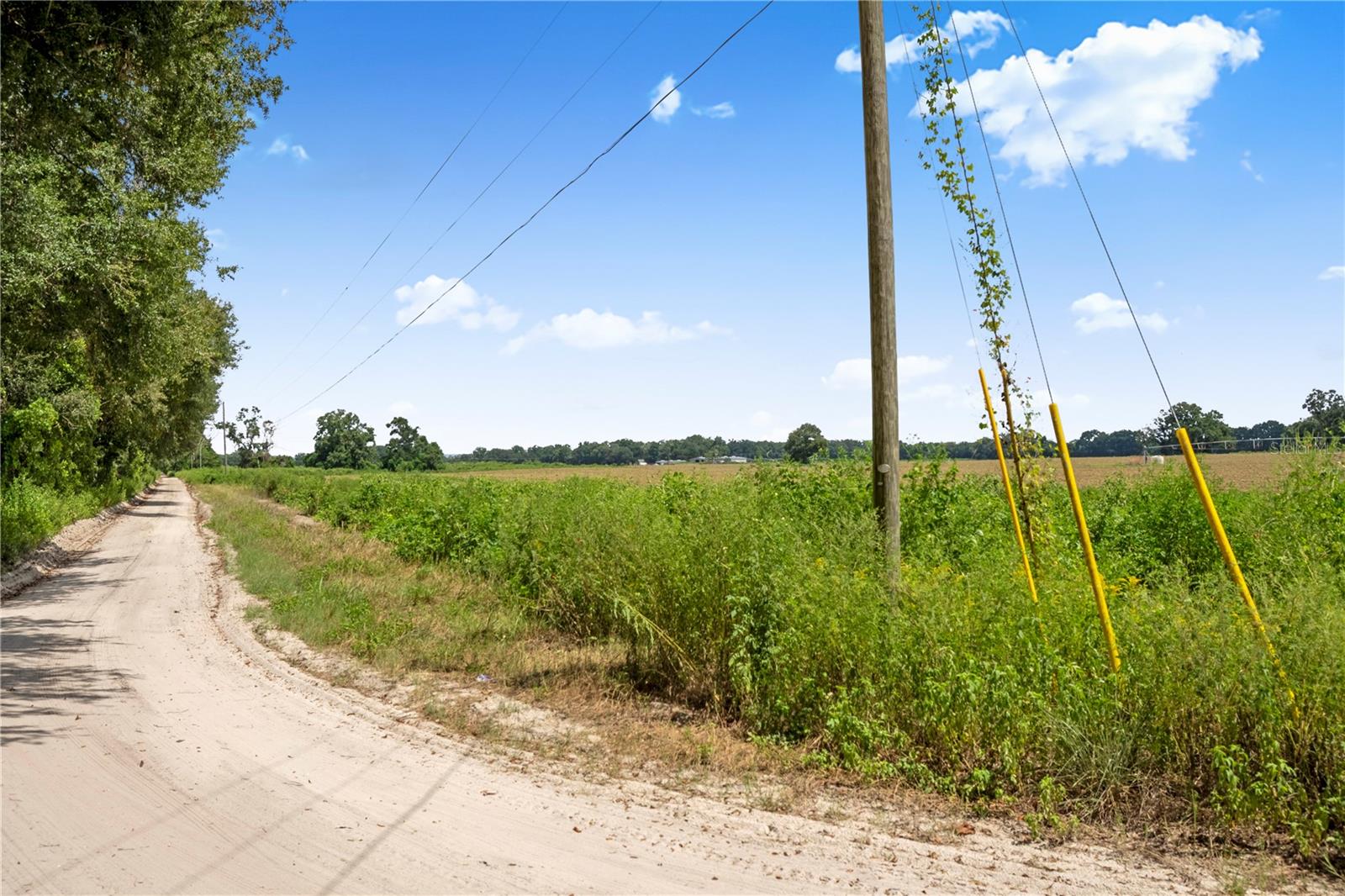 3749 V SW 22ND PL, BELL, FL, 32619