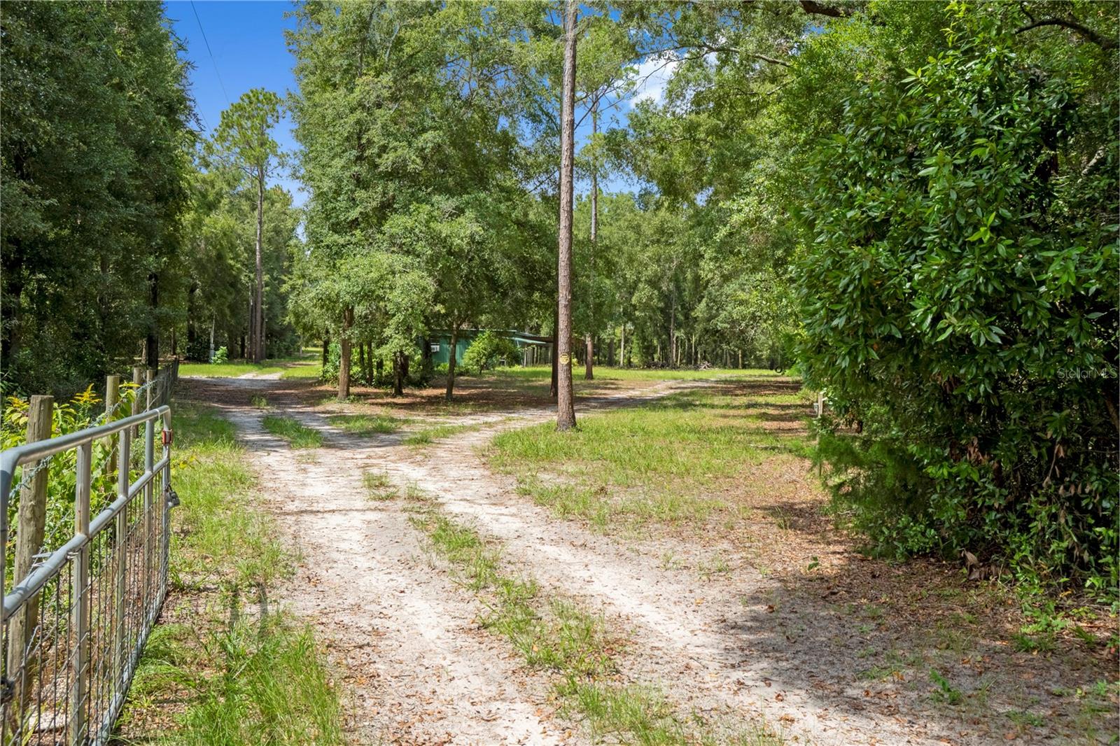 3749 V SW 22ND PL, BELL, FL, 32619