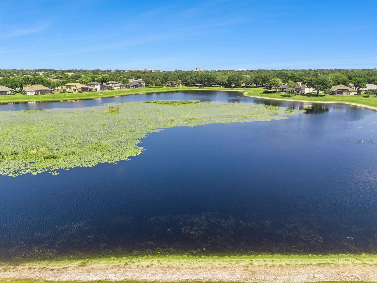 1584 CHERRY RIDGE DR, LAKE MARY, FL, 32746