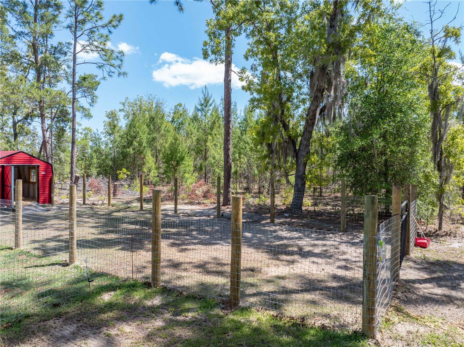 221 MAGNOLIA RD, HAWTHORNE, FL, 32640