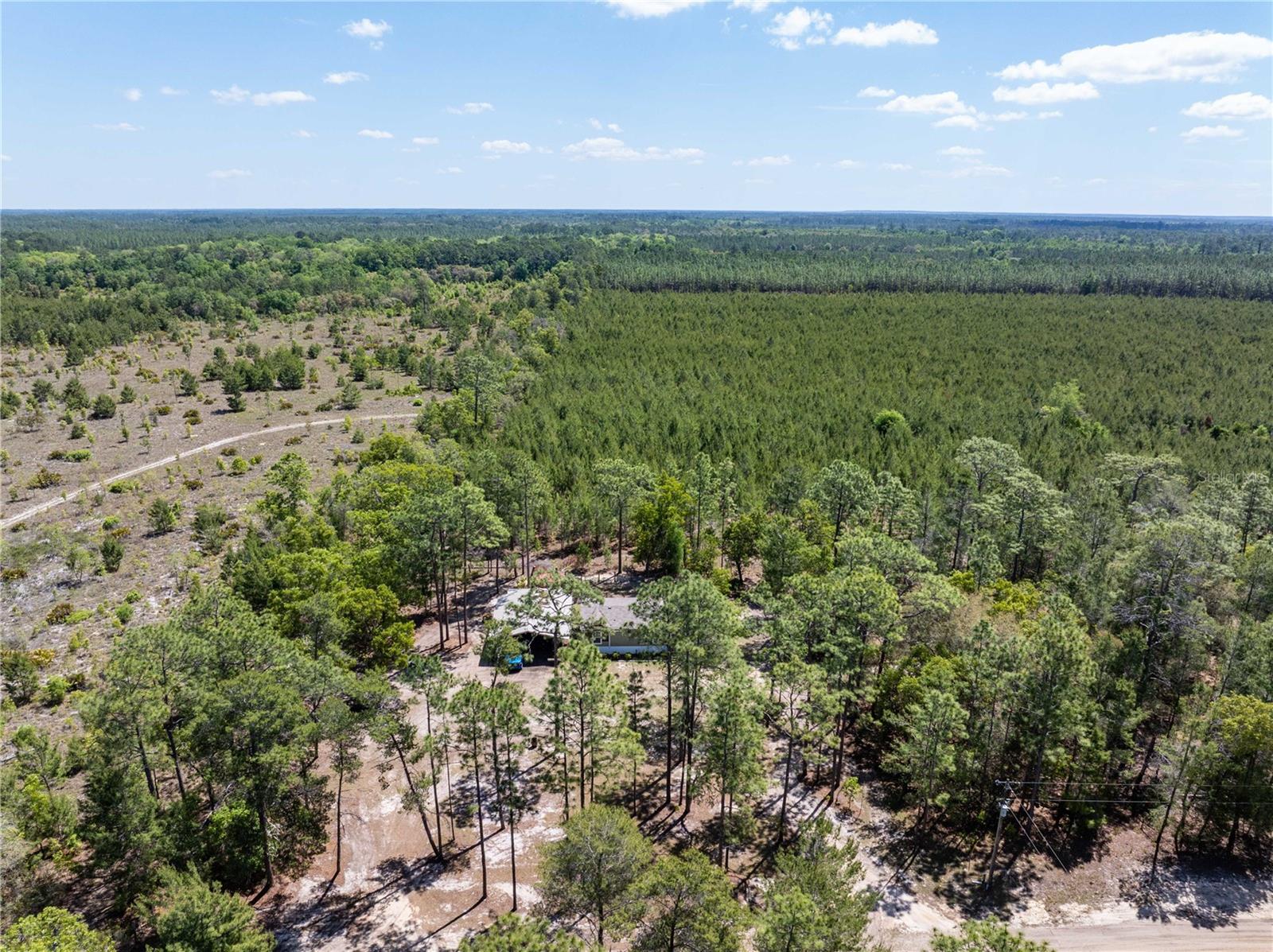 221 MAGNOLIA RD, HAWTHORNE, FL, 32640