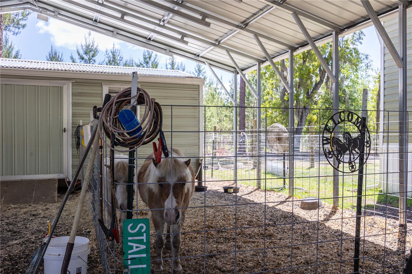 221 MAGNOLIA RD, HAWTHORNE, FL, 32640