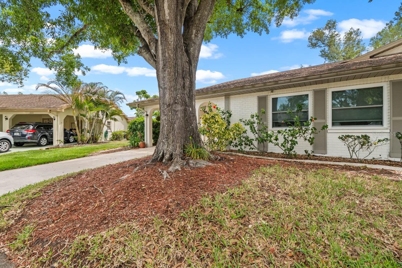 2034 HAWKHURST CIR #178, SUN CITY CENTER, FL, 33573