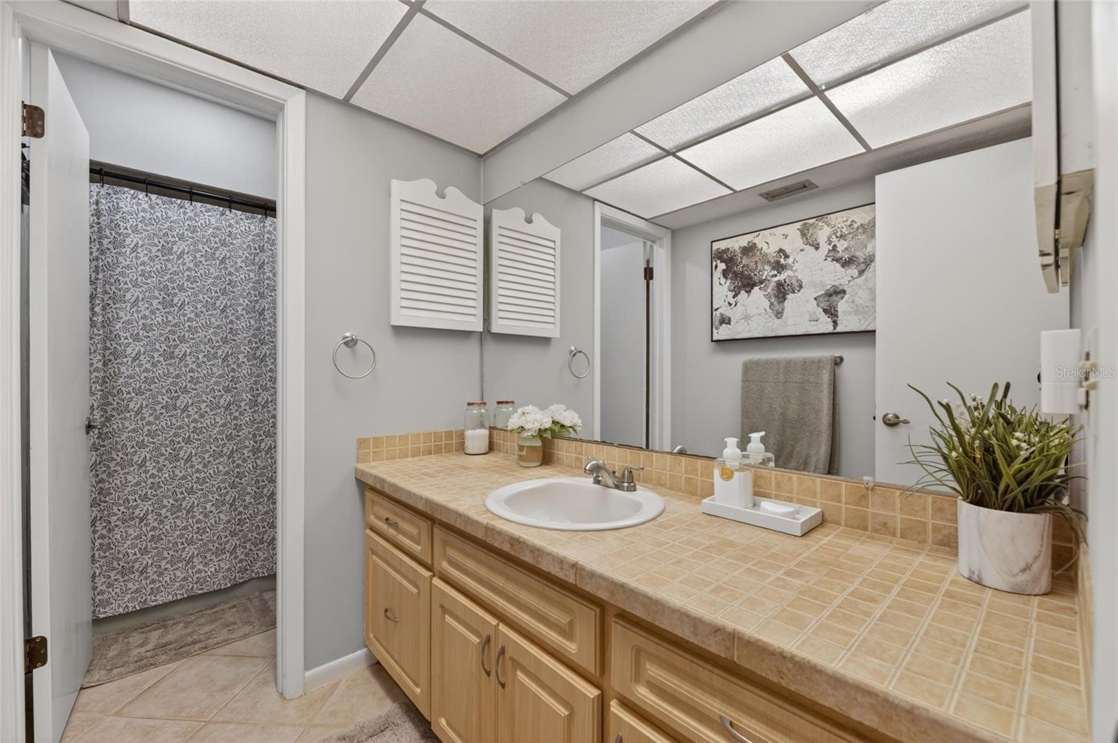 4205 BROOKE DR, VALRICO, FL, 33594