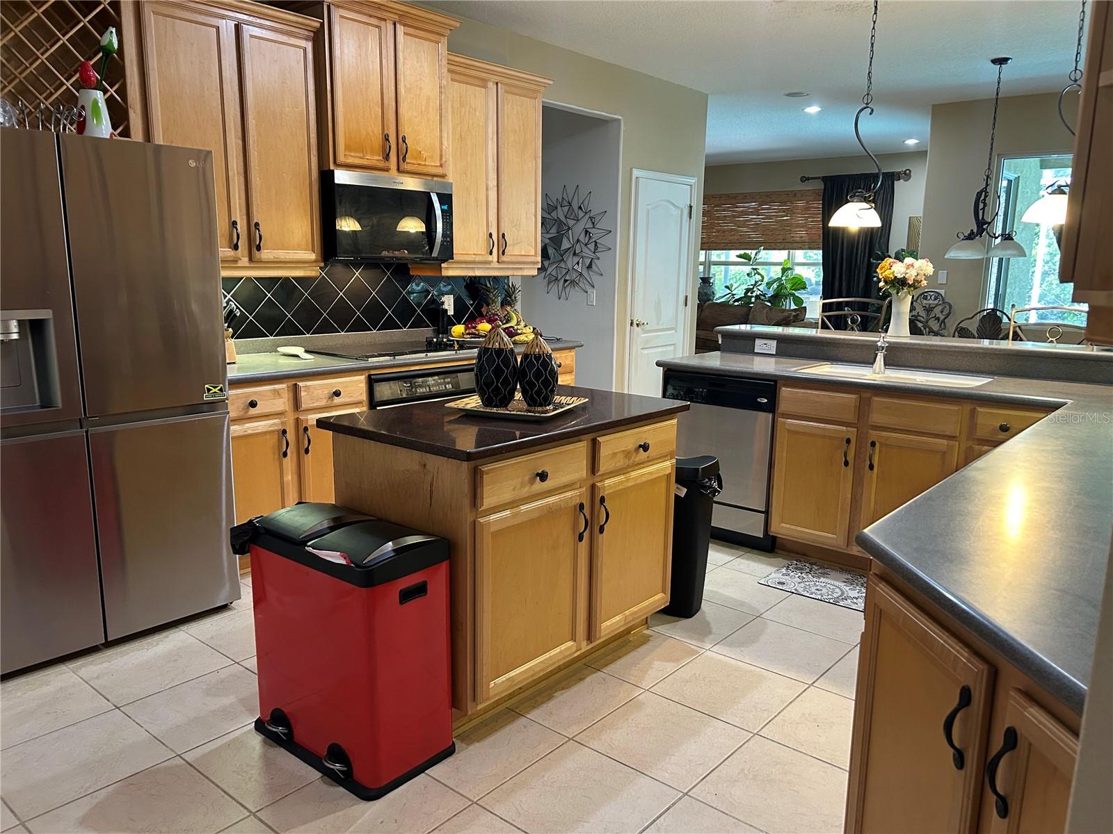 26612 SHOREGRASS DR, WESLEY CHAPEL, FL, 33544