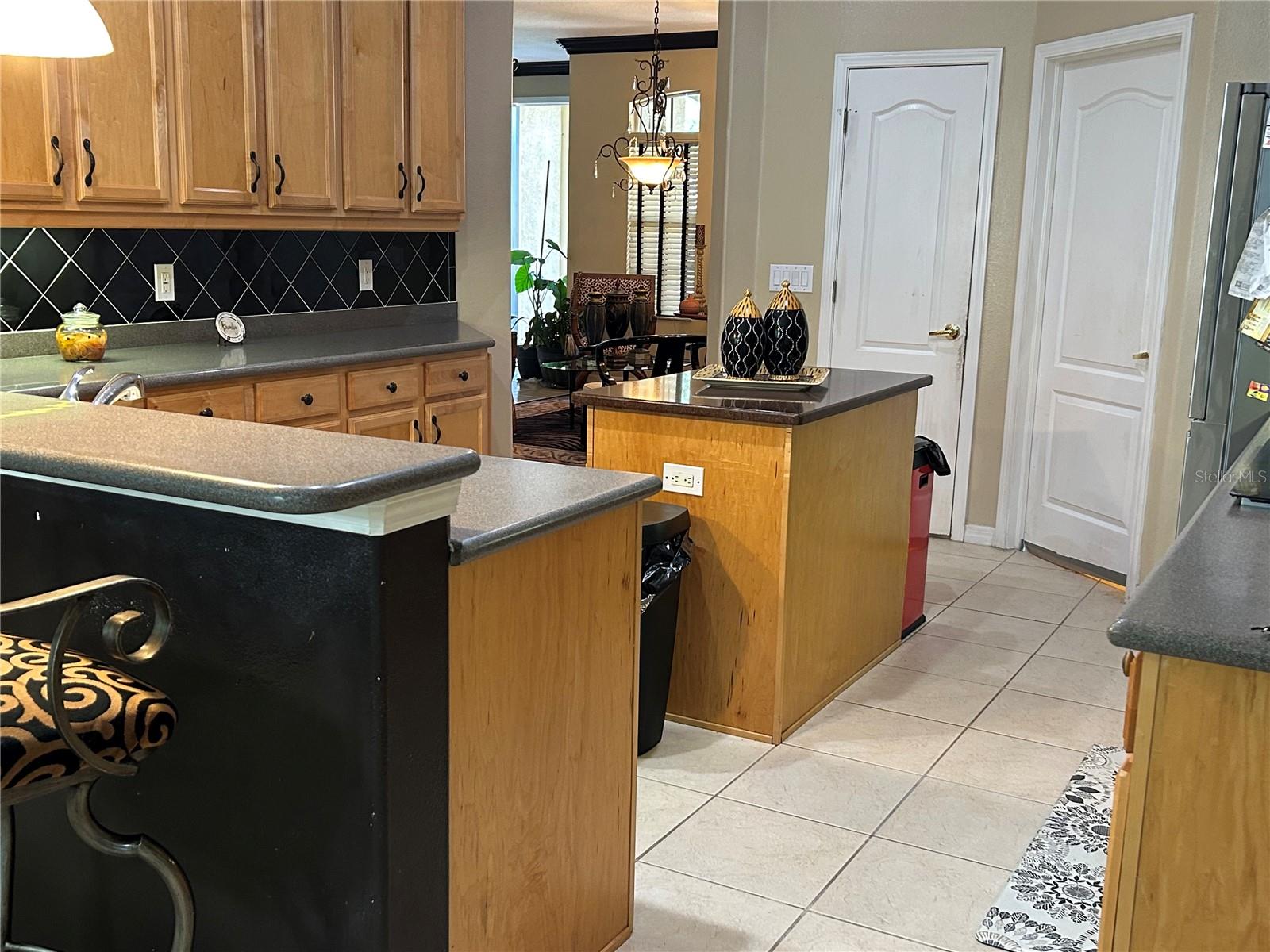 26612 SHOREGRASS DR, WESLEY CHAPEL, FL, 33544