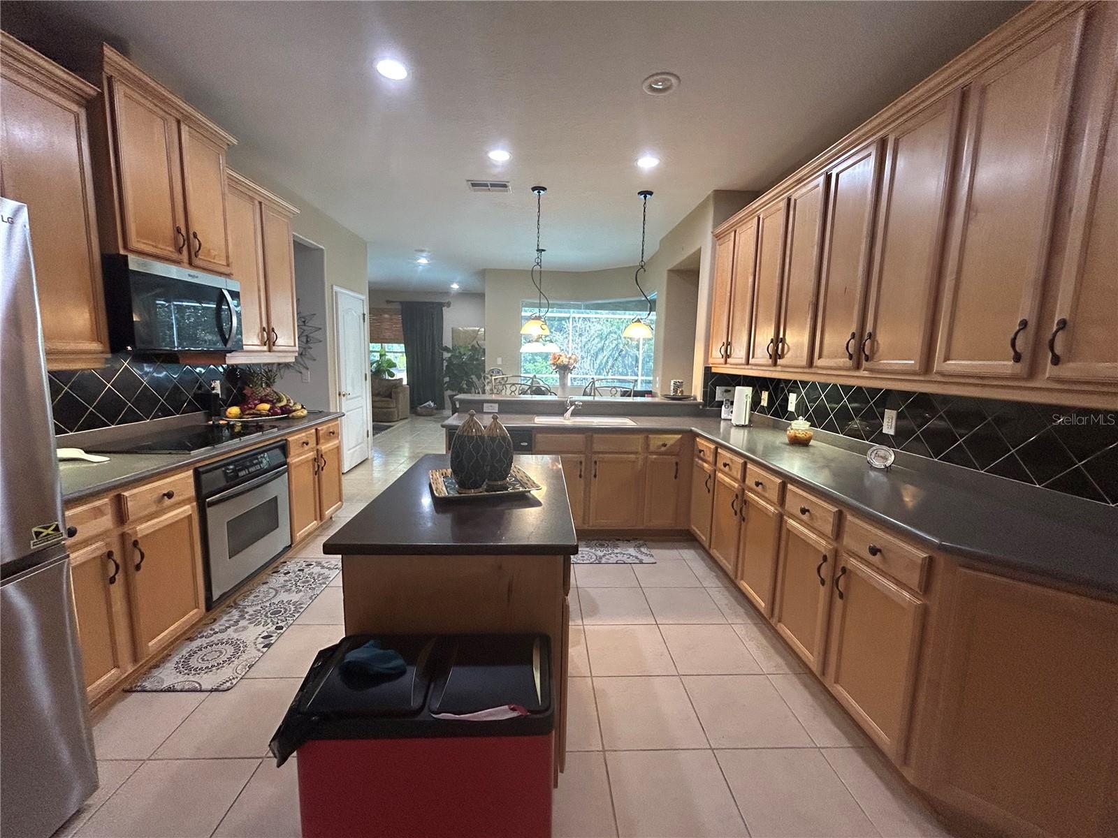 26612 SHOREGRASS DR, WESLEY CHAPEL, FL, 33544