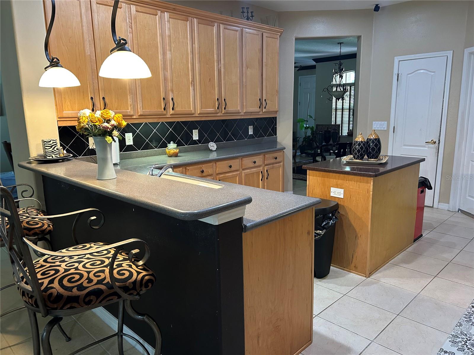 26612 SHOREGRASS DR, WESLEY CHAPEL, FL, 33544