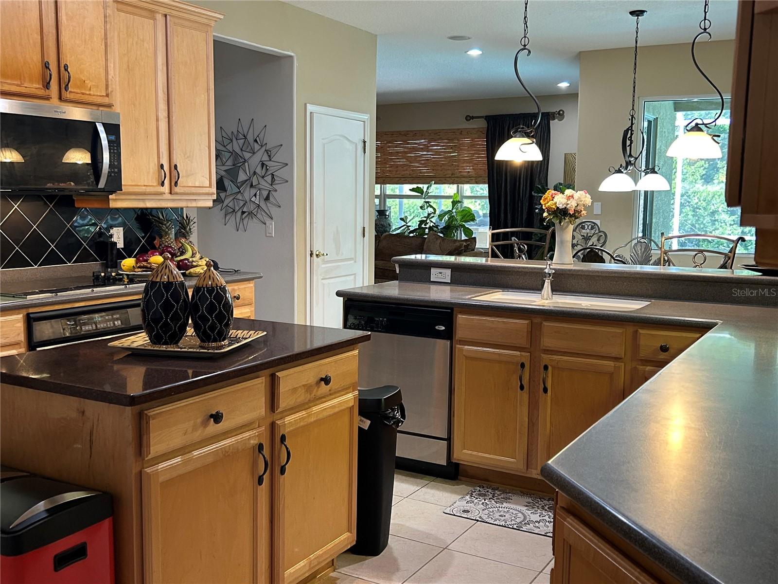 26612 SHOREGRASS DR, WESLEY CHAPEL, FL, 33544