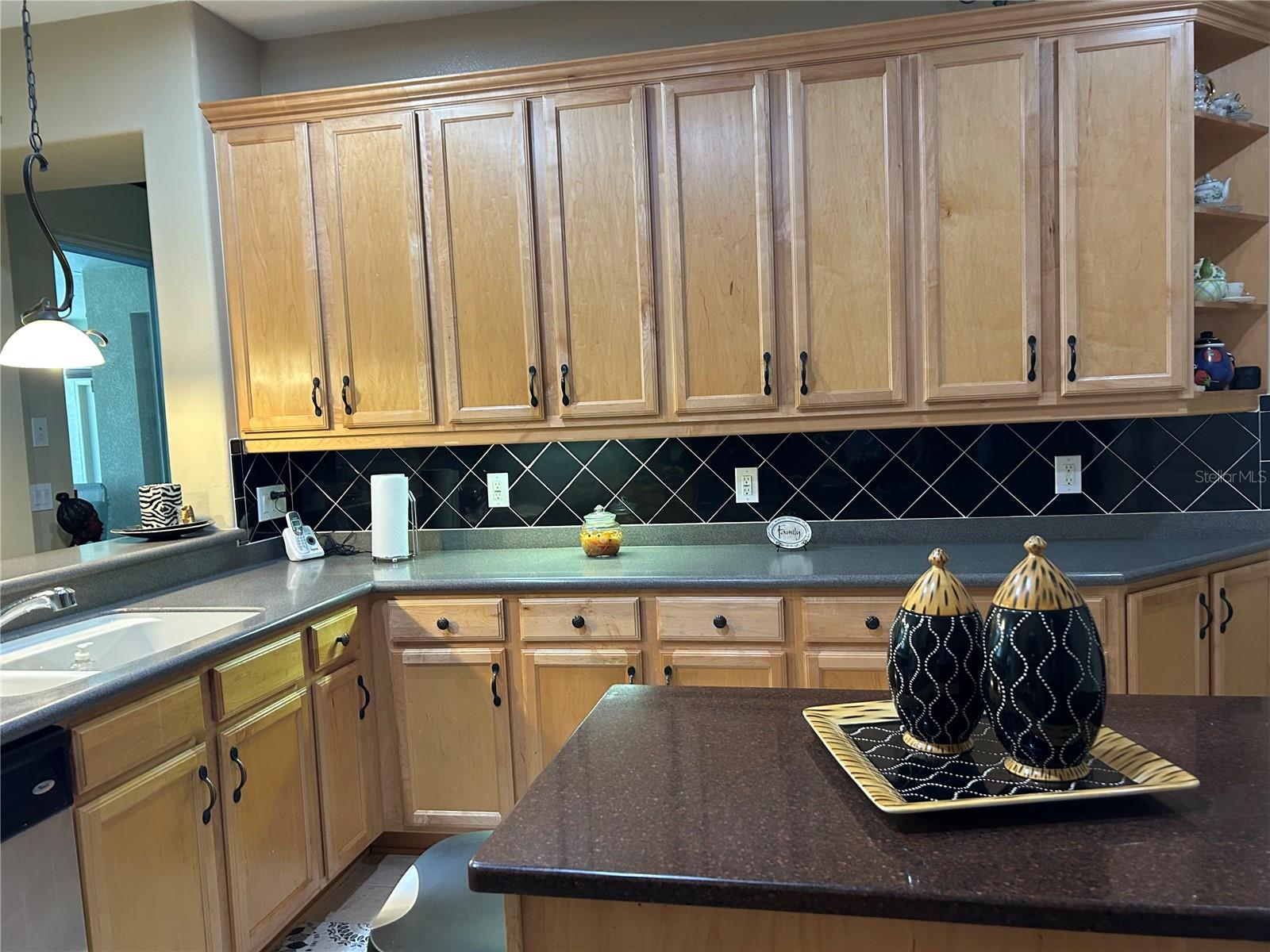 26612 SHOREGRASS DR, WESLEY CHAPEL, FL, 33544