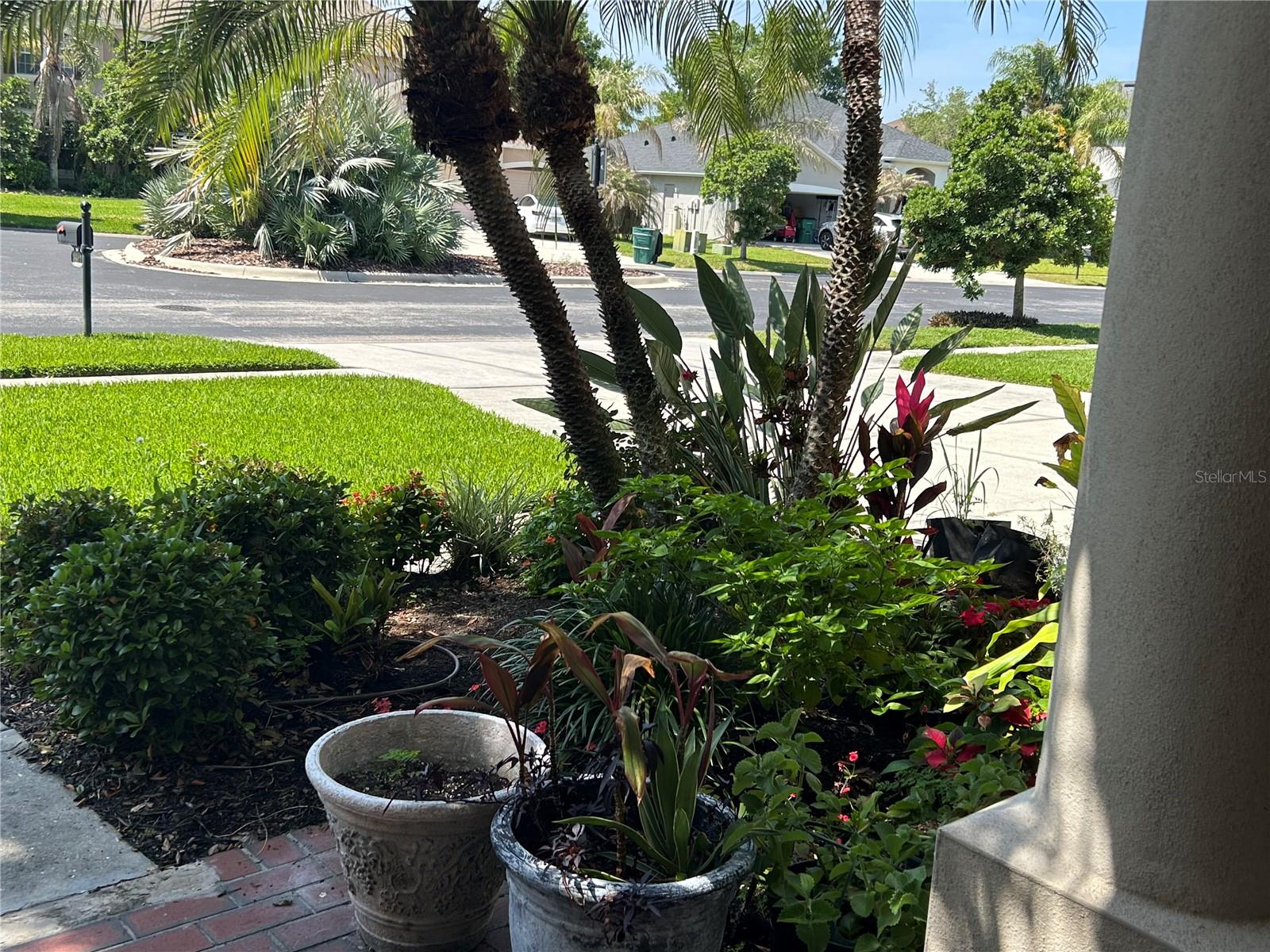 26612 SHOREGRASS DR, WESLEY CHAPEL, FL, 33544