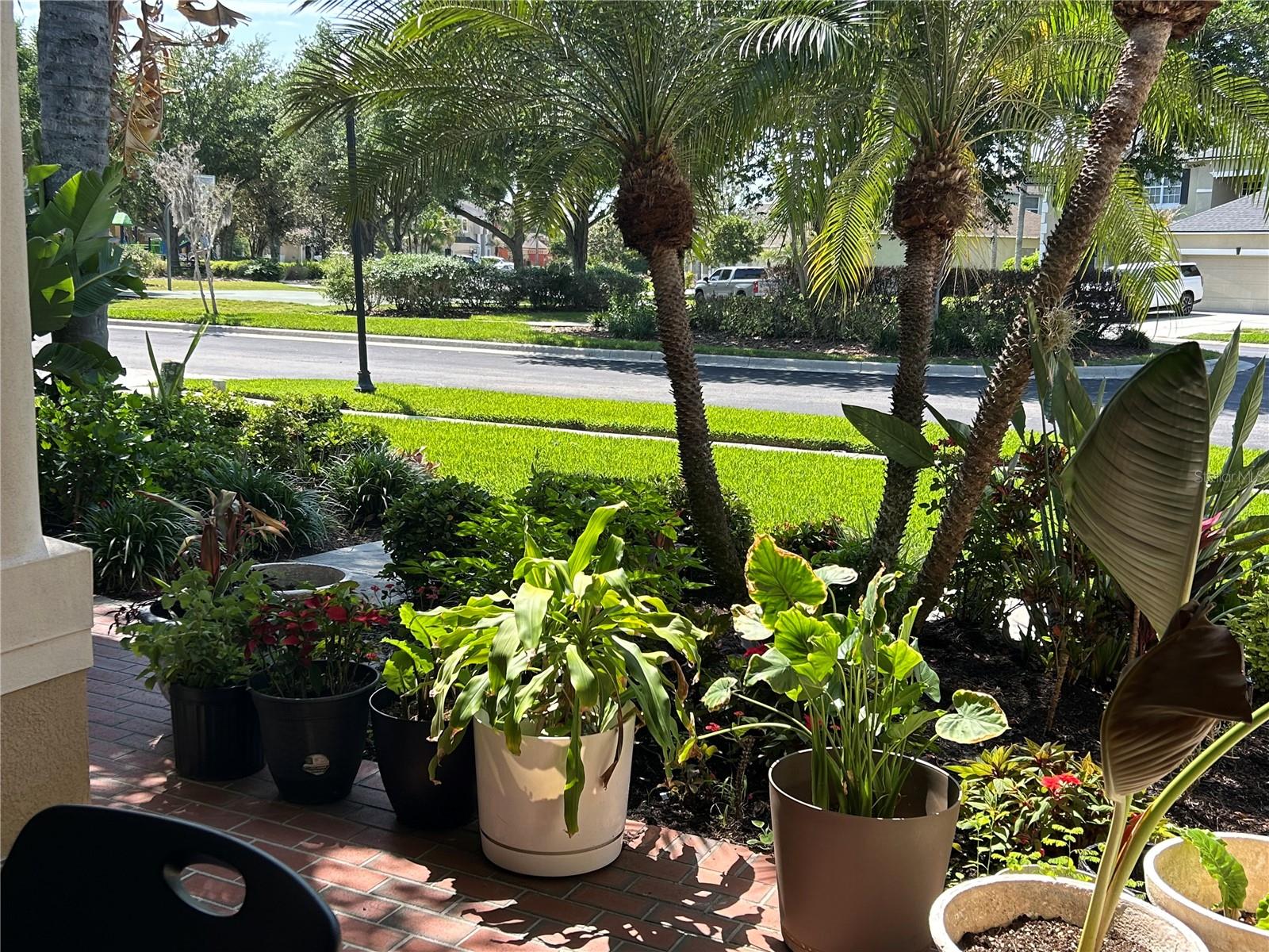 26612 SHOREGRASS DR, WESLEY CHAPEL, FL, 33544