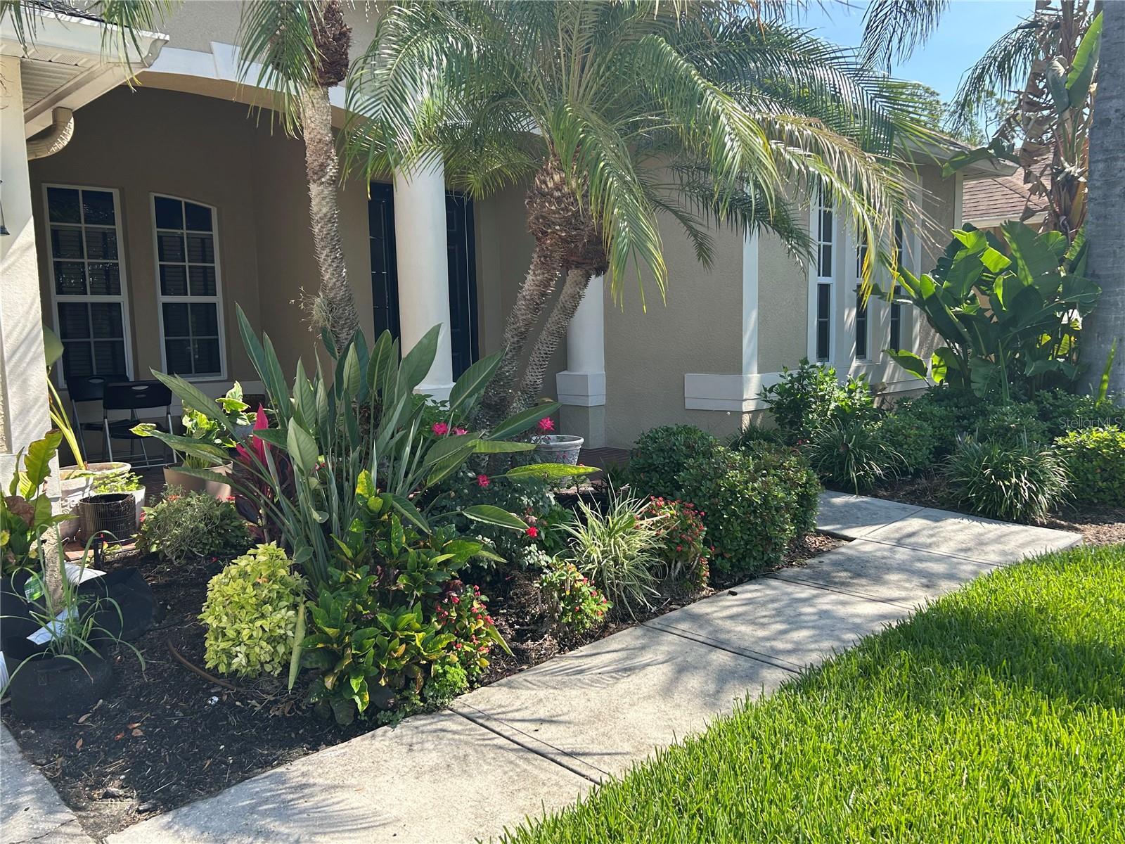 26612 SHOREGRASS DR, WESLEY CHAPEL, FL, 33544