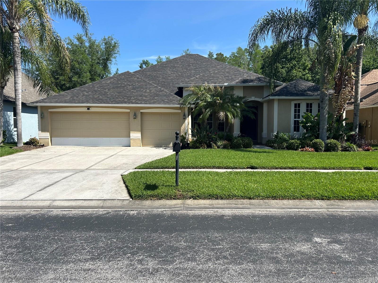 26612 SHOREGRASS DR, WESLEY CHAPEL, FL, 33544