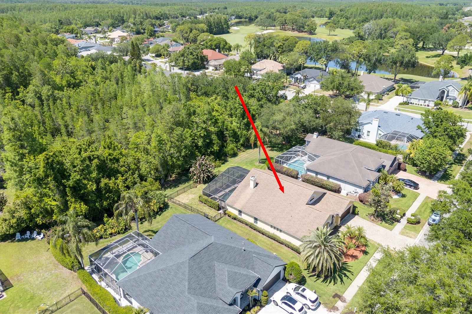 18806 CHEMILLE DR, LUTZ, FL, 33558