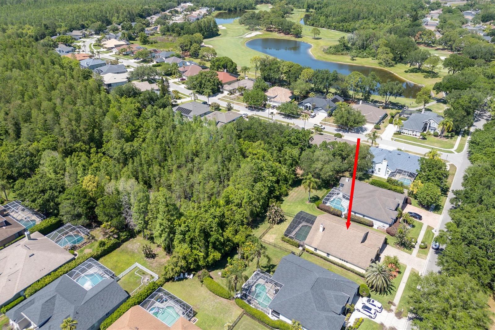 18806 CHEMILLE DR, LUTZ, FL, 33558